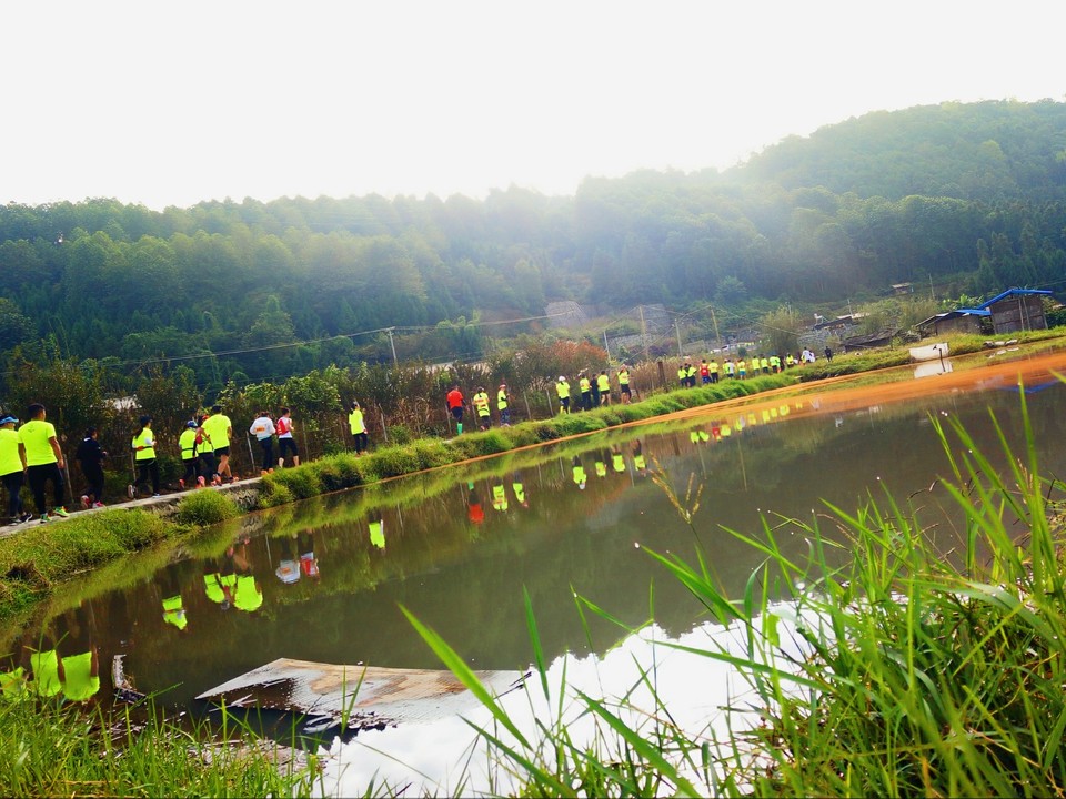 IMG20161105094822_mh1478342078662