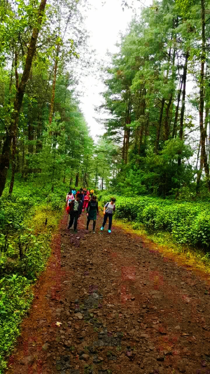 mmexport1478458249149_mh1478506270778