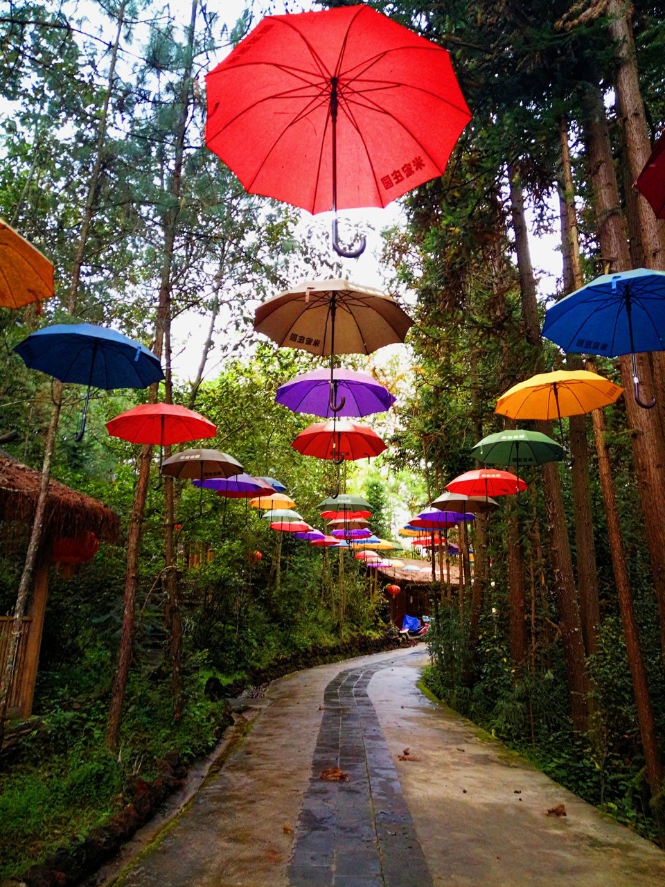 IMG20161106165520_mh1478507553576