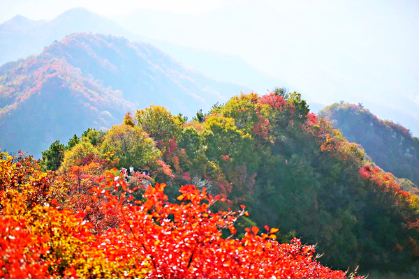 11月3日 圭峰山上赏红叶满山，乌桑峪中观天生石桥
