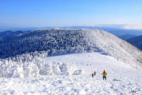 【已成团】2月15日（周三） 挑战秦岭东梁 赏醉美草甸、原始冷杉林、雪景