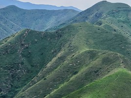 4月25日 徒步北仲山草甸赏黄刺玫、打卡泾河峡谷乾坤湾