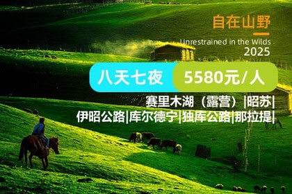 夏之新疆·独库伊昭,走进了梦里的桥段...库尔德宁