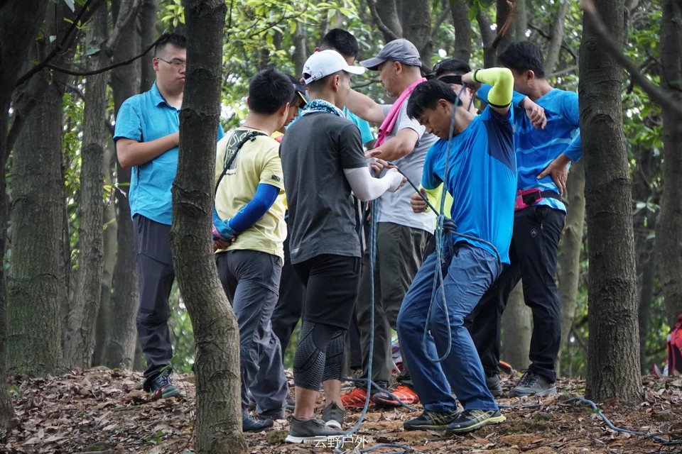 431478416801750266 - 副本