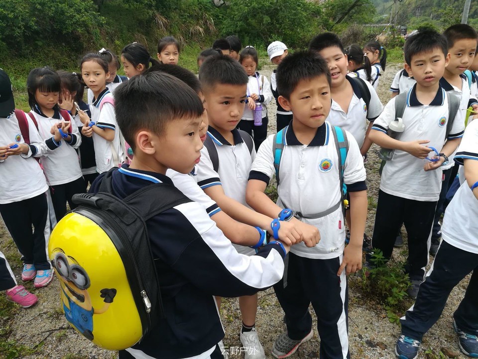 98323688783925456 - 副本