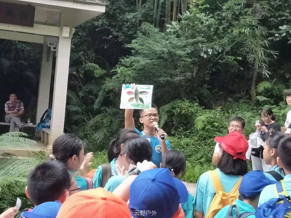 微信图片_20190719090155