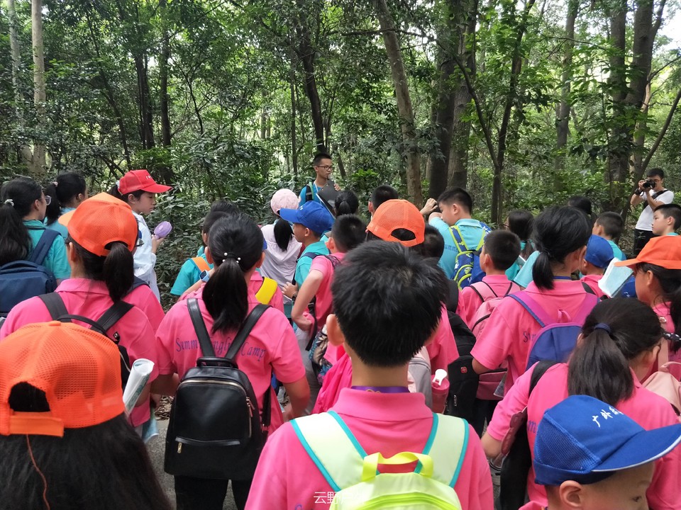 微信图片_20190719090110