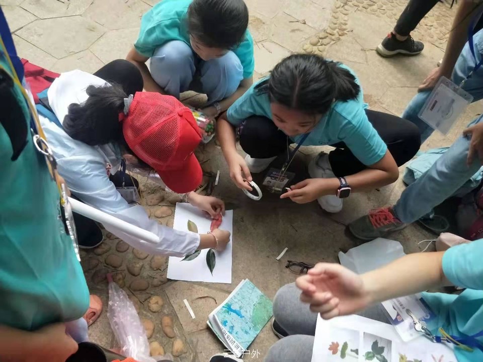 微信图片_201907190901562