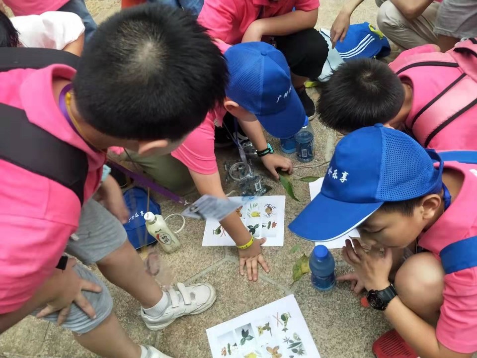 微信图片_201907190901565