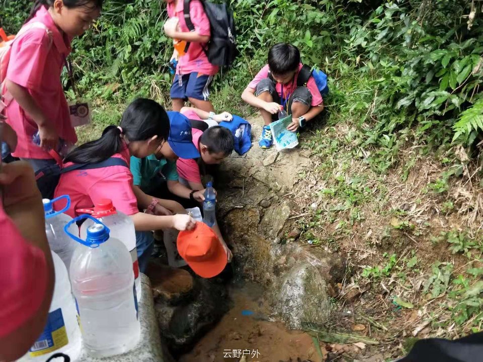 微信图片_201907190901567