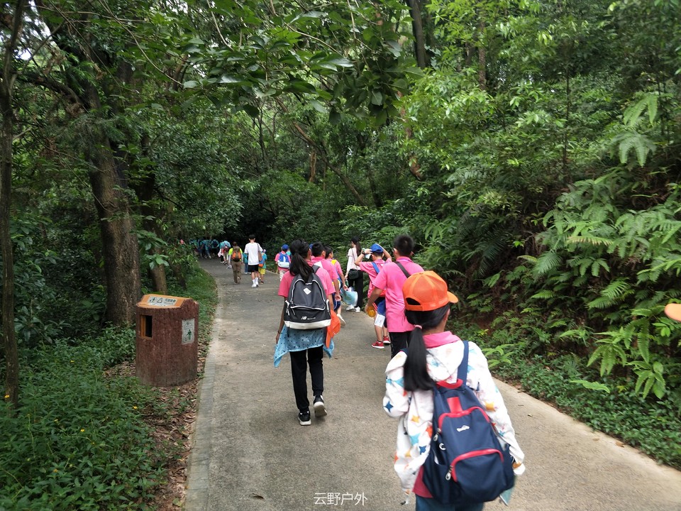 微信图片_2019071909015610