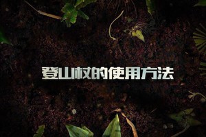 第2集 | 户外安全教育：登山杖的使用方法