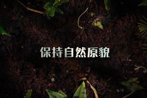 第10集 | 户外安全教育：保持自然原貌