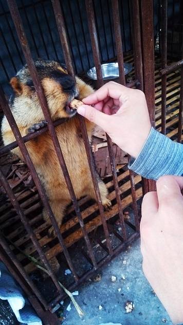 图片77.jpg 图片77.jpg