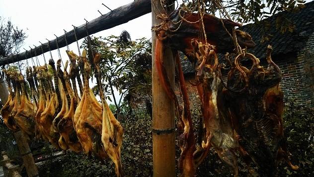 图片68 - 副本.jpg