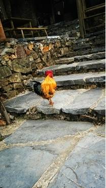 图片67 - 副本.jpg