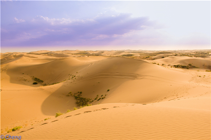 库布齐沙漠 (15)