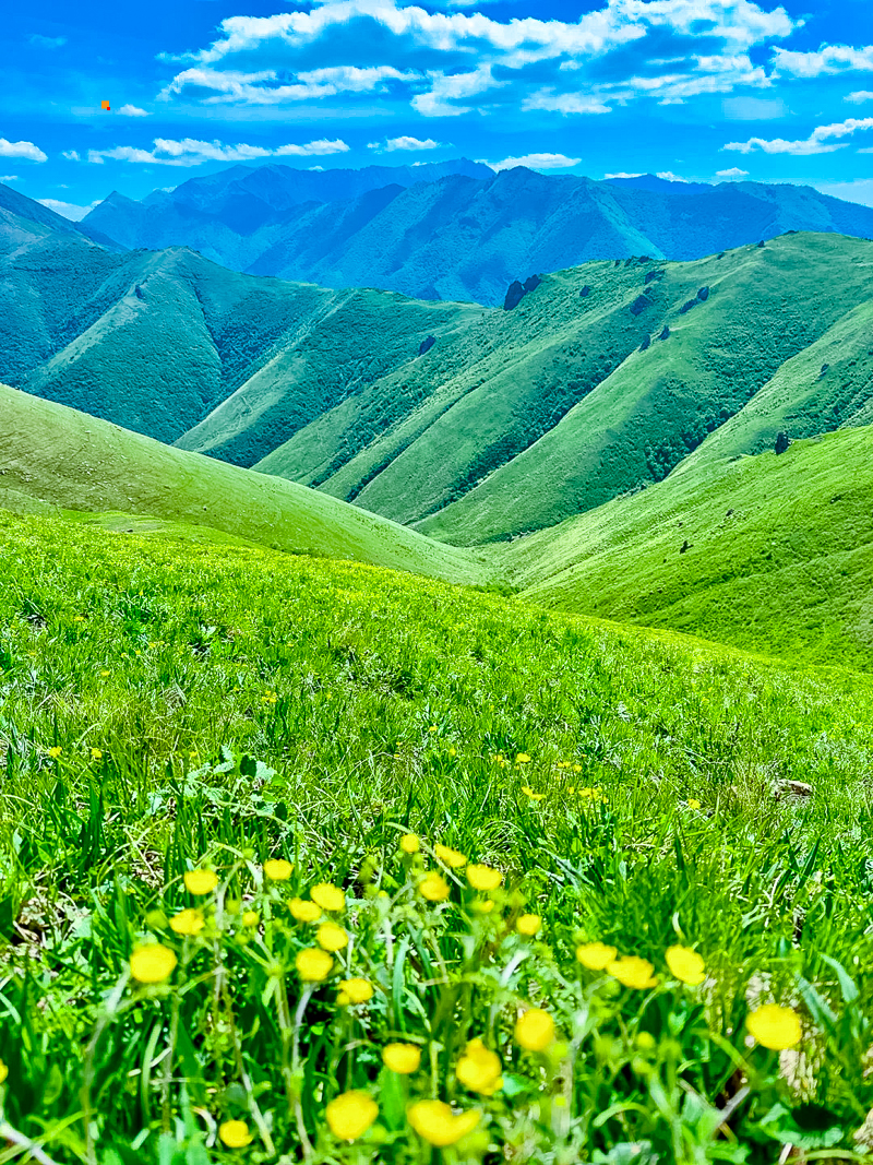 北灵山如果是阿勒泰，那白谷查山是哪_5_十二（户外版_来自小红书网页版.jpg