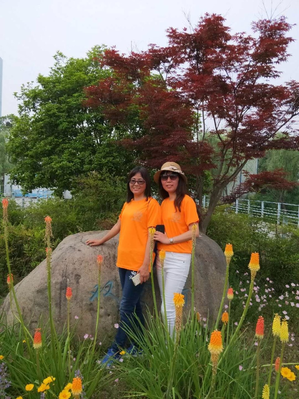 mmexport1526092140634