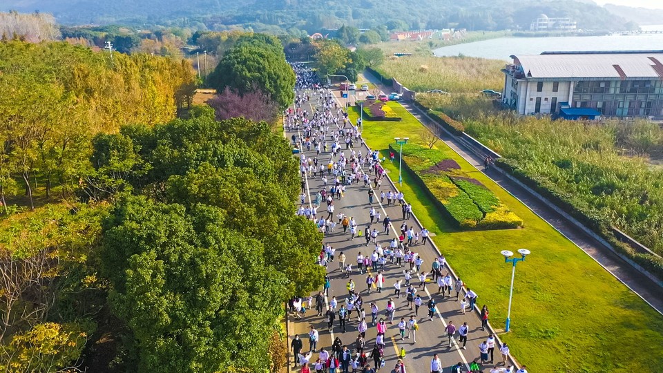 微信图片_20201115161656