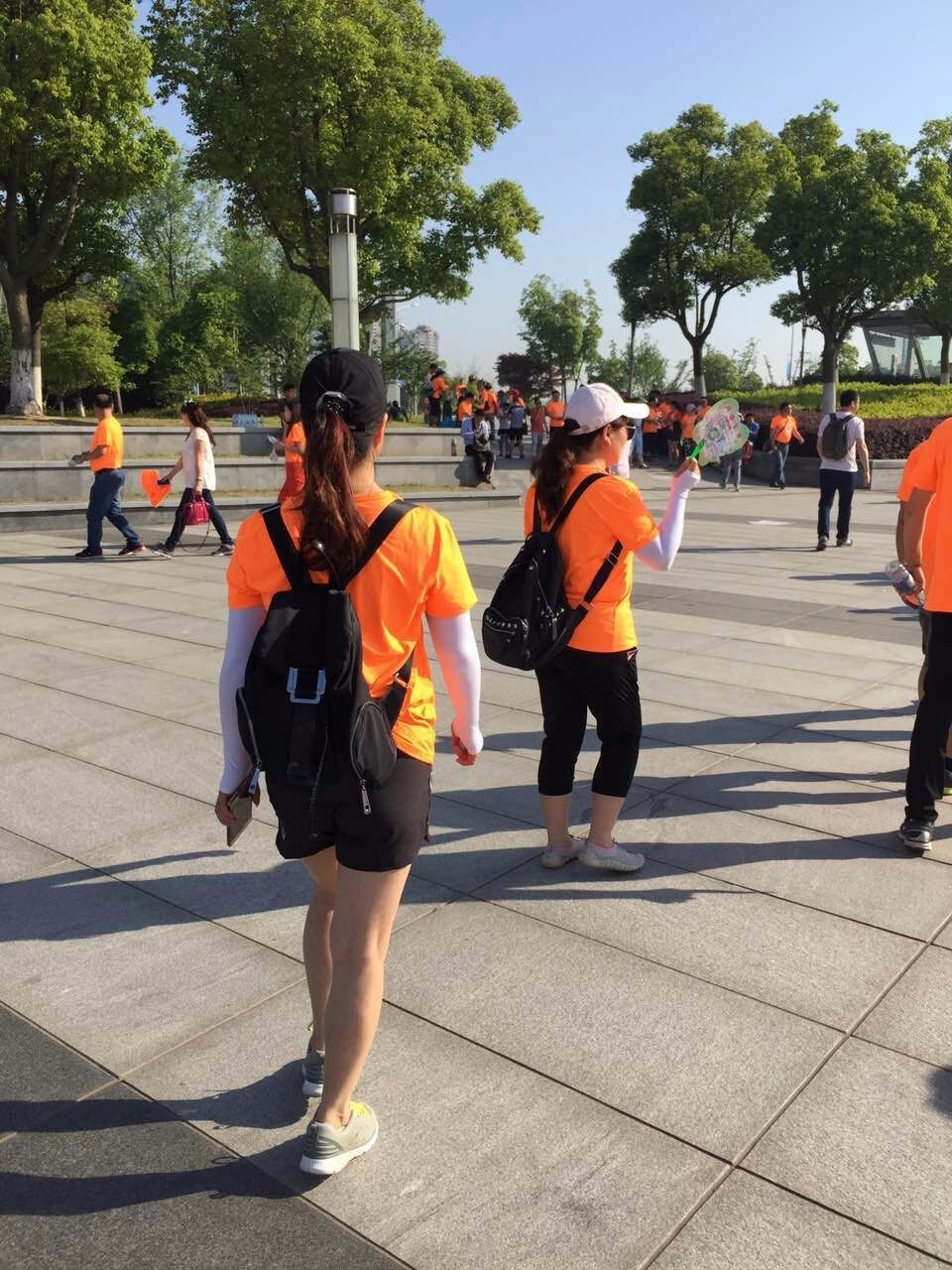 mmexport1495946309747