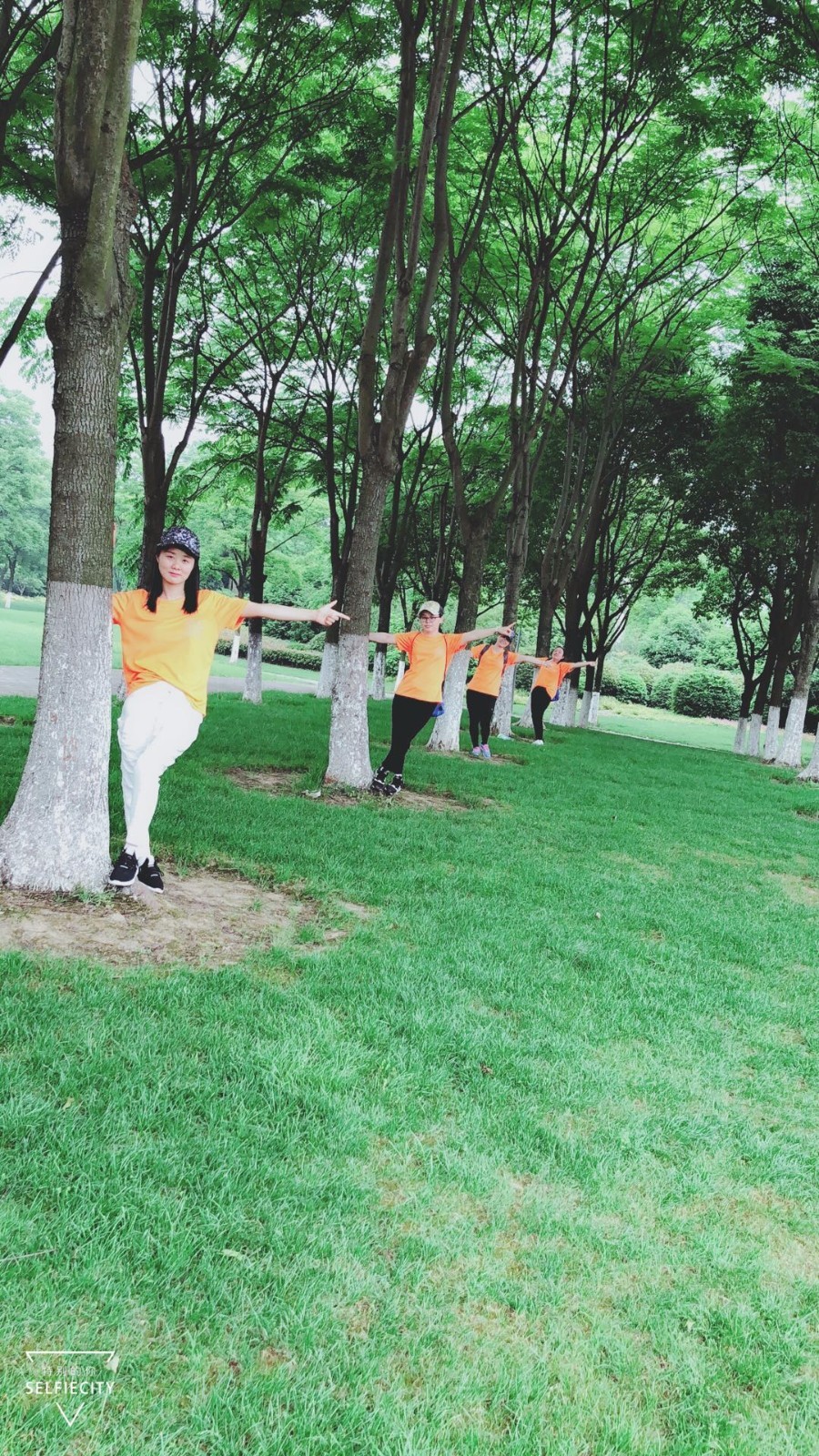 mmexport1526093187951