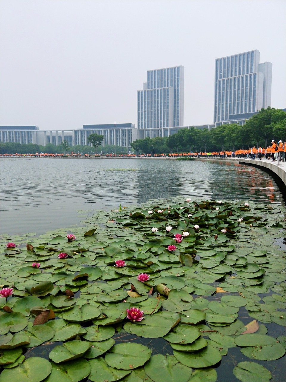 IMG20180512095900_mh1526092293819