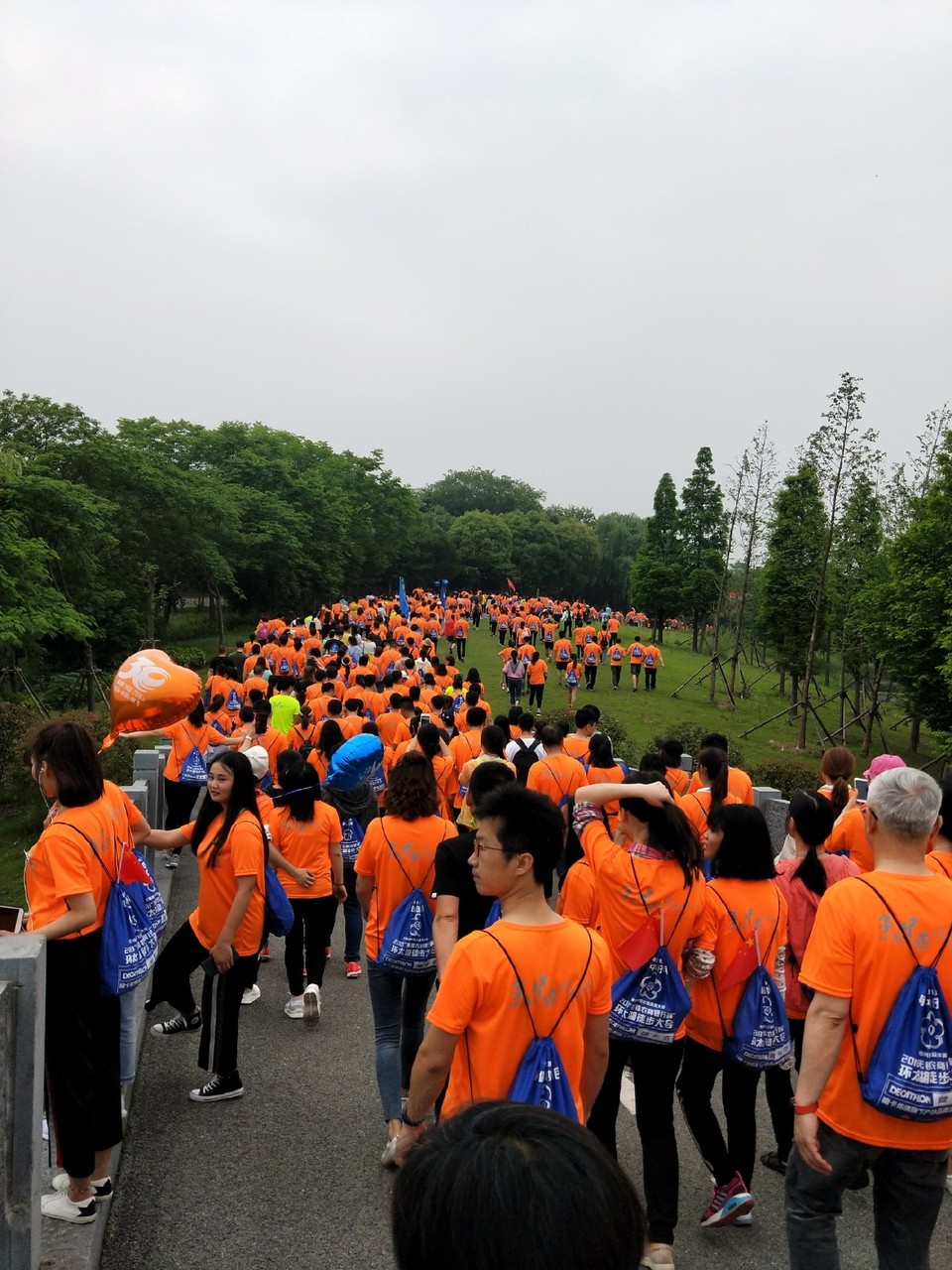 IMG20180512084519_mh1526092423751