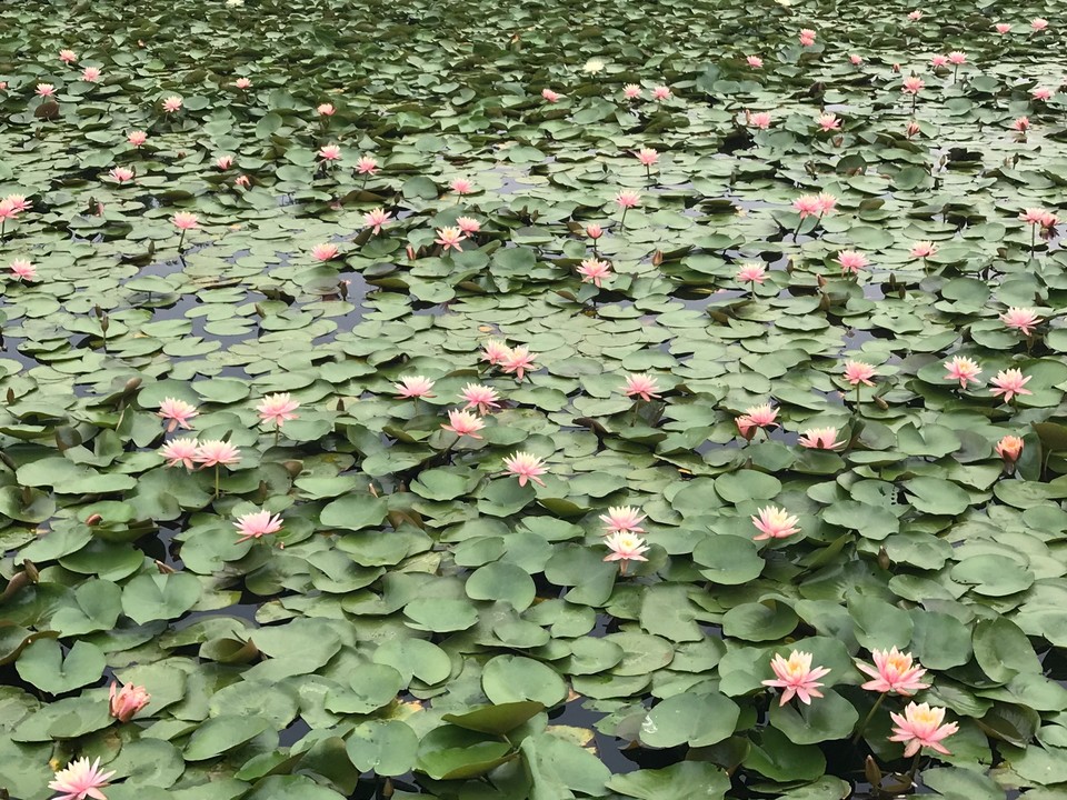 E048AB67-6BC2-4C78-AE01-7061336EA6A4