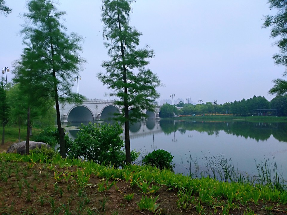 IMG_20180512_091454_mh1526091972009