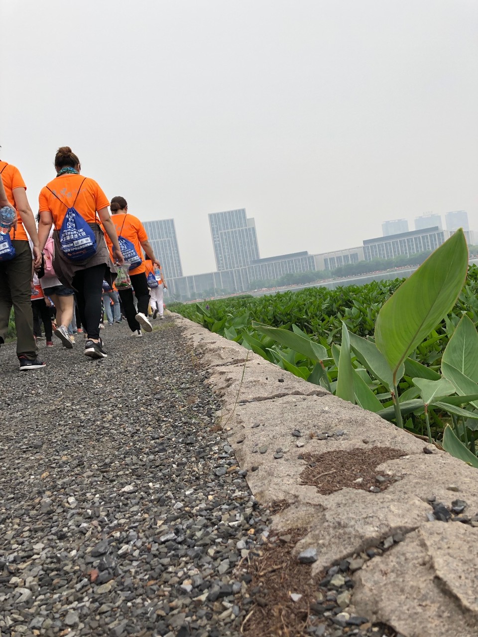 3458EC71-9123-4178-AF51-C3EF2F4437CE