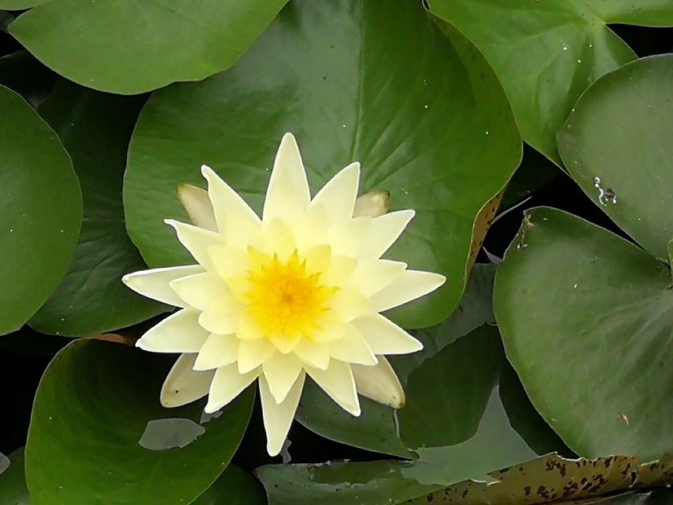 D1F35168-9CFD-4145-86EE-E799D776478F