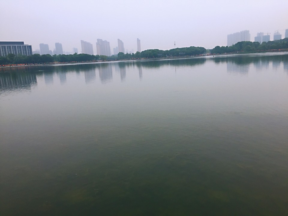 E254D4B0-843D-4C8C-8126-7439E408A333