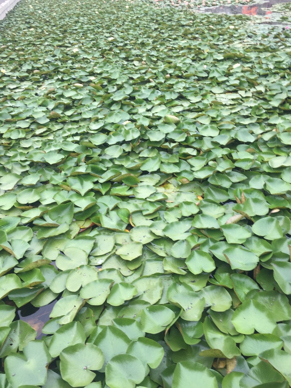 D2707634-0101-4A81-8C40-3D80FF67D923