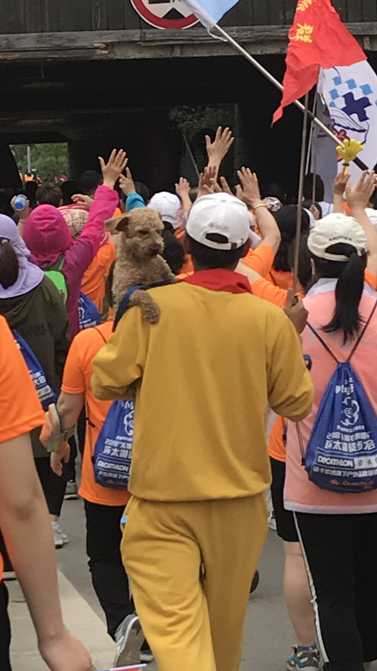 ED8124E1-35B2-46A7-9D5C-BFA337189E5C