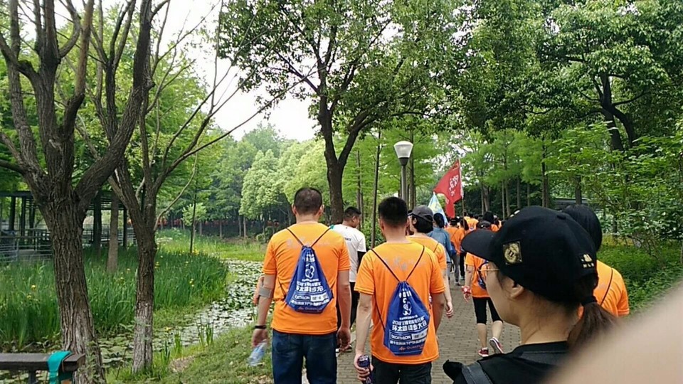 mmexport1526139303840