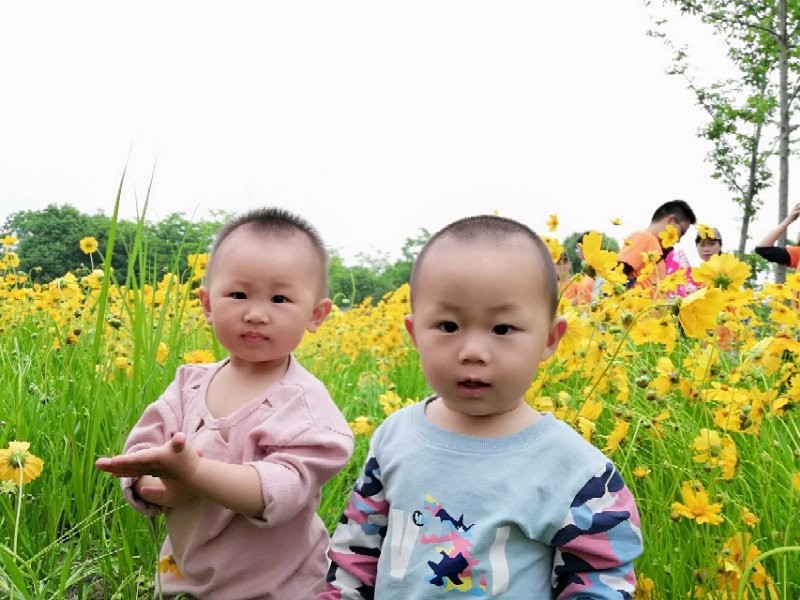 mmexport1526097391113