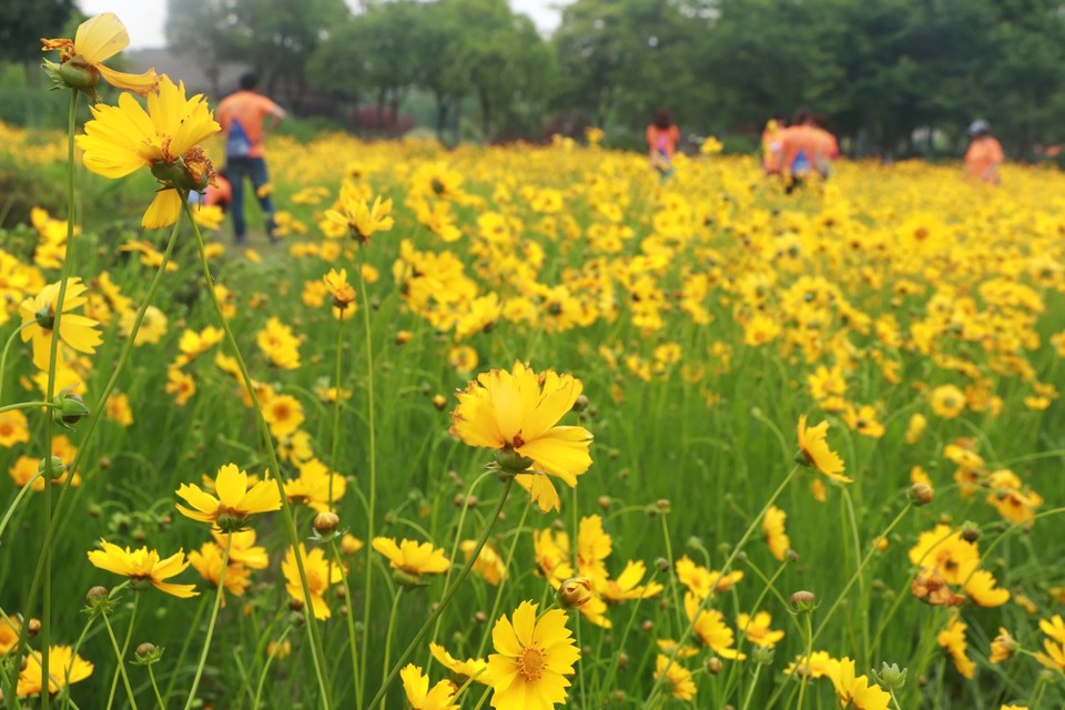 CB345D8F-BF3C-4CC7-98AF-925C6765A811