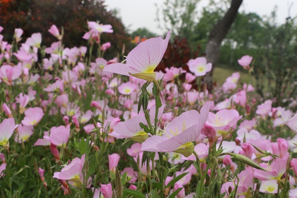 BC701AB2-0184-4594-AE92-2CC822320359