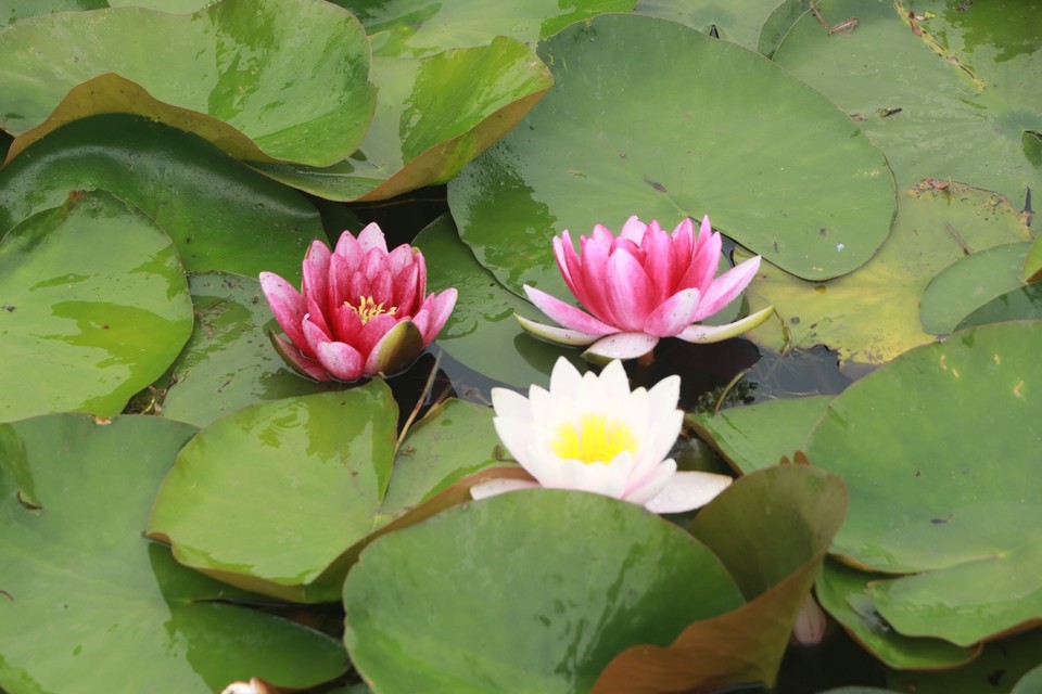 E3720FF8-58BB-481E-9270-3C2D31B83FDE