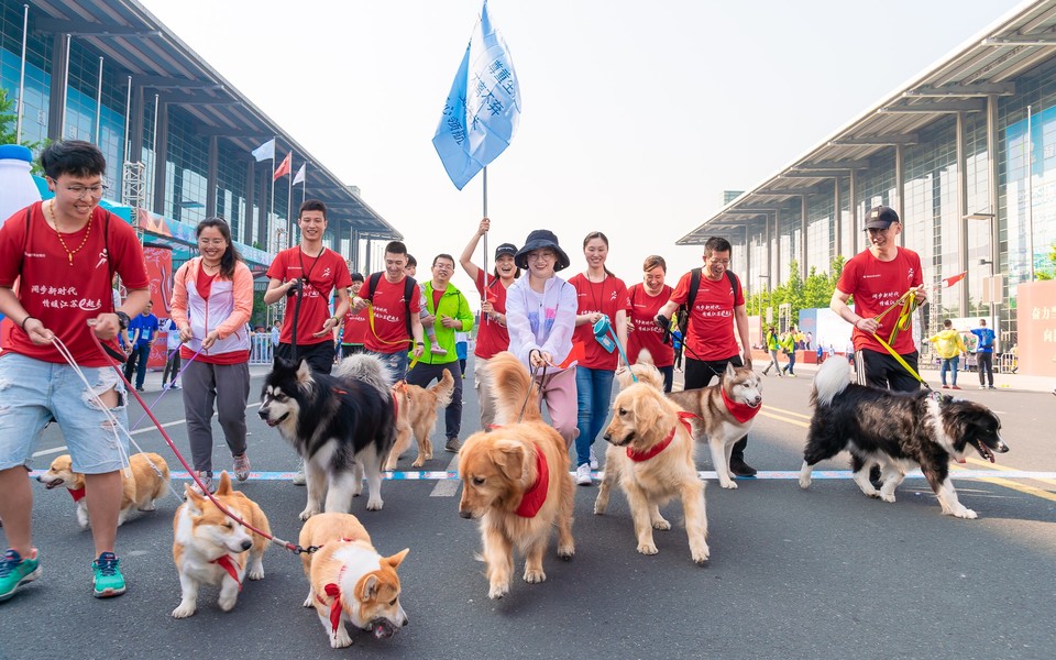 广电照片IMG_5118