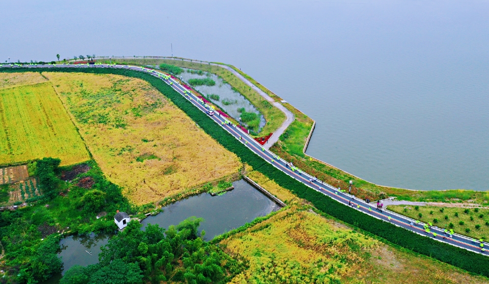 mmexport1558231593324