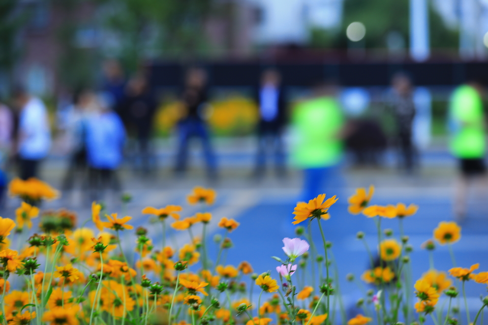 mmexport1558232035368