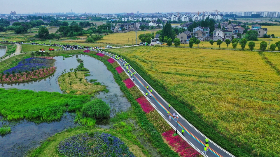 mmexport1558232312906