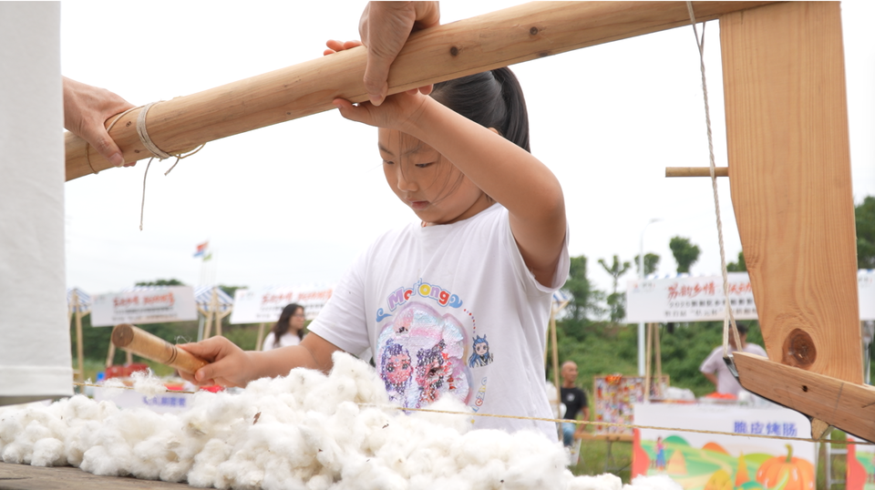 微信图片_20251010194423_202_294