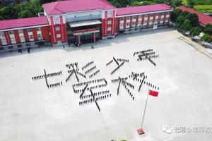 七彩军事夏令营已缴费资料登记