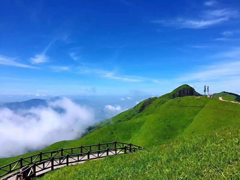 30 徒步万亩高山草甸 穿越华东户外圣地武功山 夏天正是高山草甸的