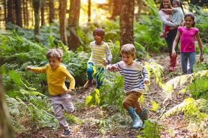 2019 尚田·PIONEER CAMP营地年卡特惠预售~