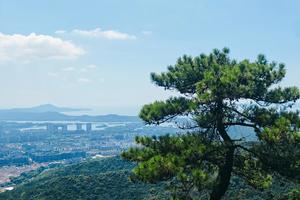 「惠山迎新·共赴山野之约」惠山街道迎新登山活动招募启事