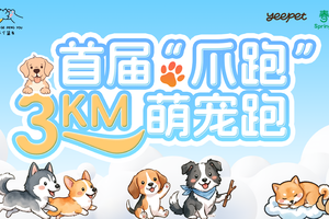 爪住美好，跑出快乐！首届「爪跑」3KM 萌宠跑正式招募～